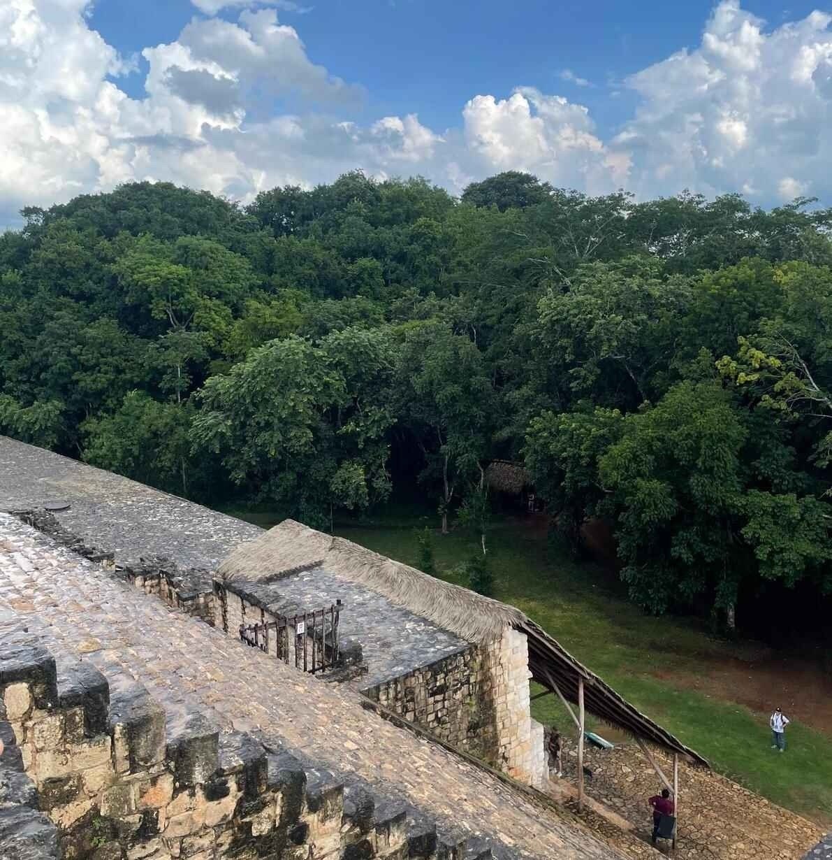 vista do alto das escadas de um templo com a selva ao fundo