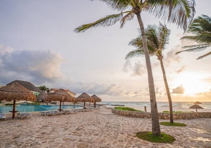 a swimming pool surrounded by palm trees and thatched umbrellas