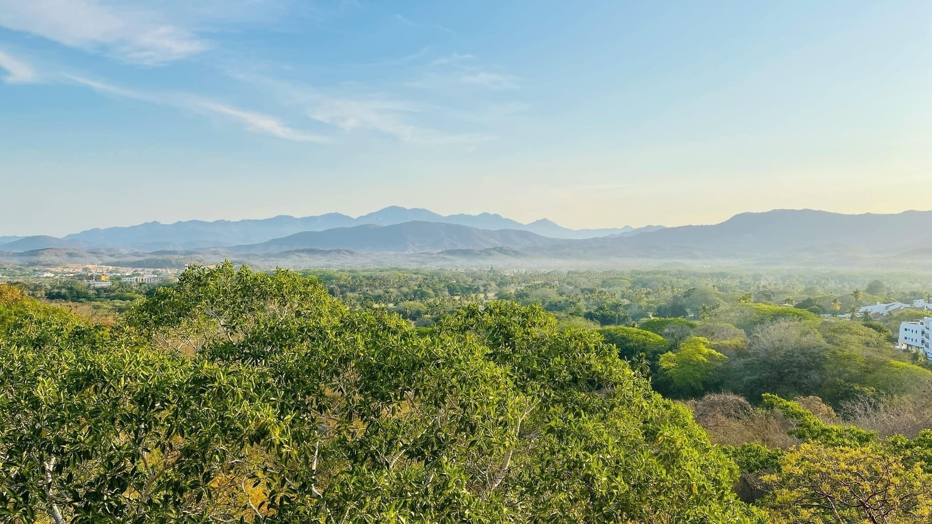 Descubre la impresionante diversidad de flora y fauna en Ixtapa