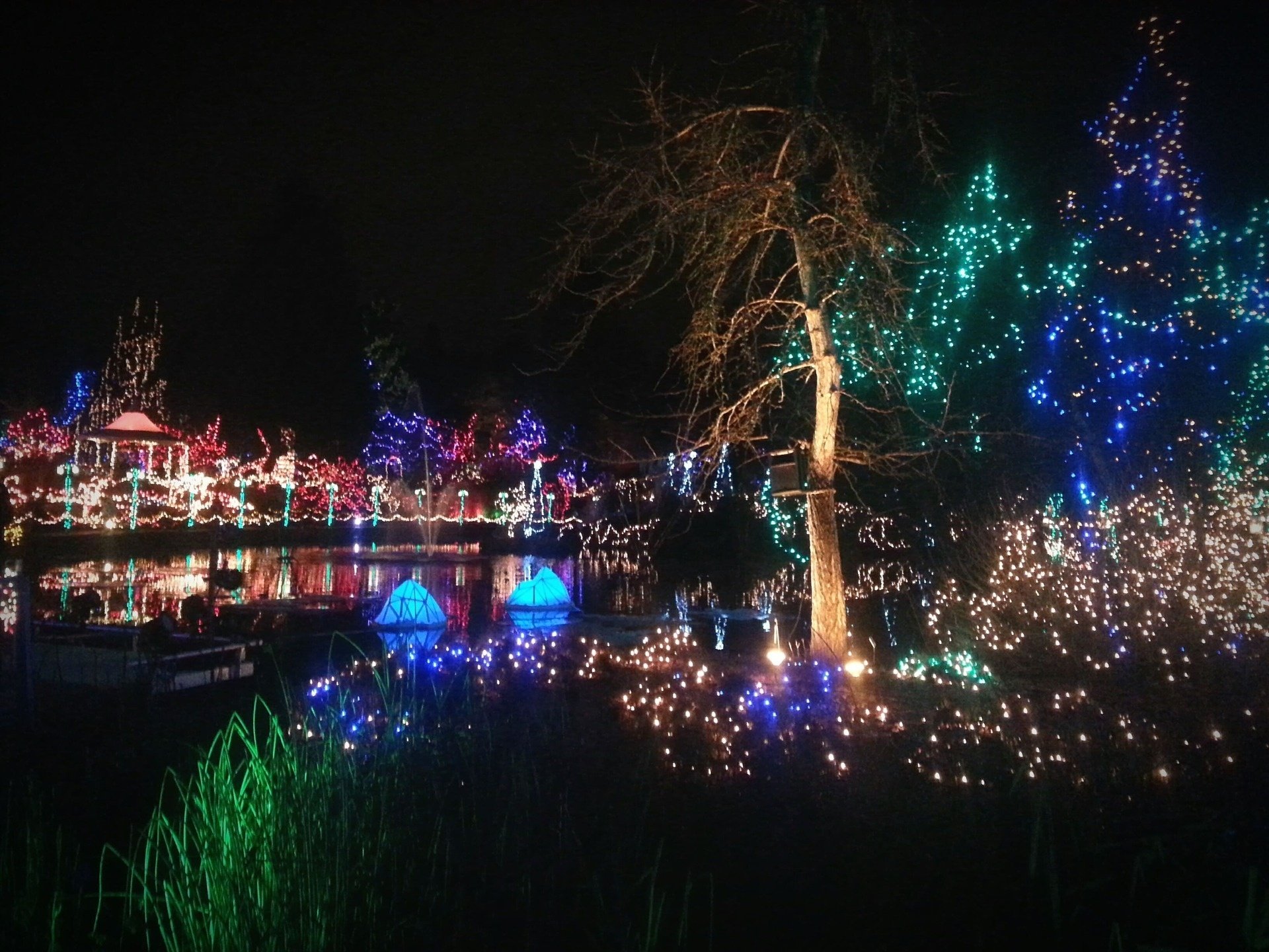 un estanque cubierto de luces de navidad en la noche