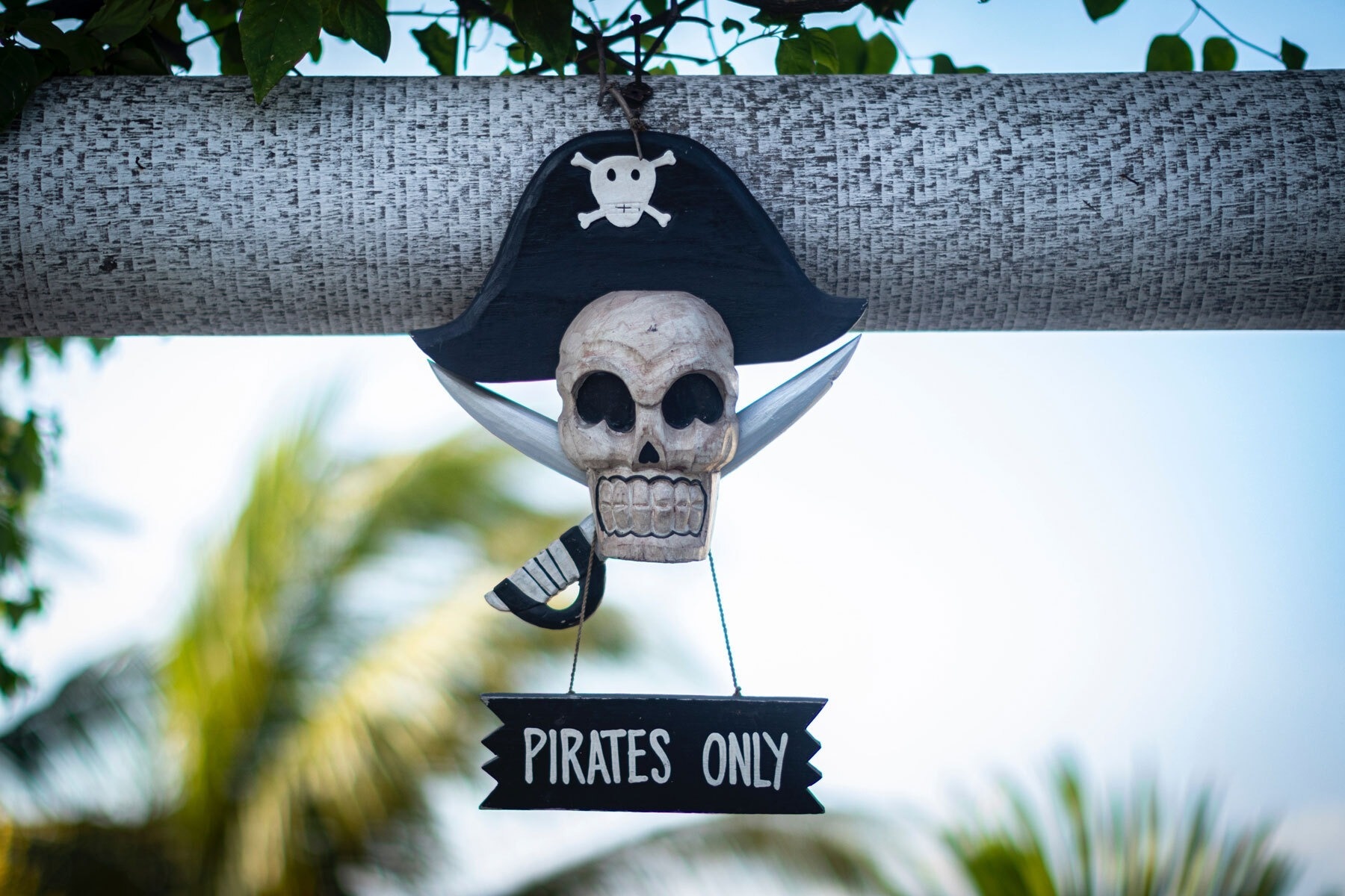 un cráneo con un sombrero de pirata y un signo que dice piratas solo