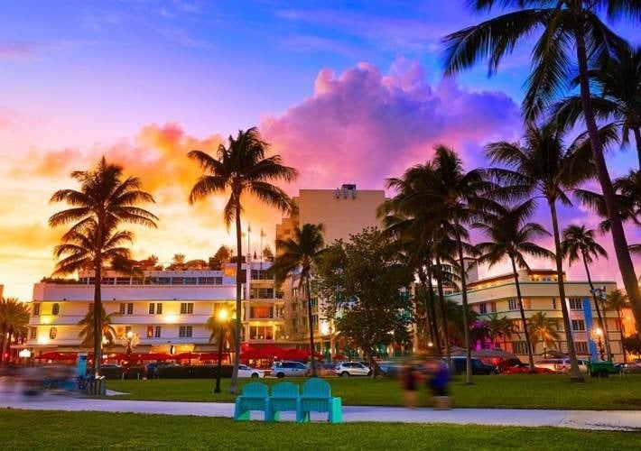 a city with palm trees and buildings at sunset