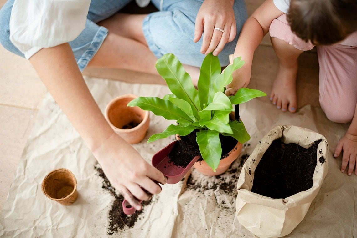 una mujer y dos niños están plantando una planta en una maceta