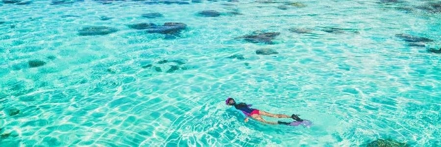 a woman is swimming in the ocean with flippers and a mask .