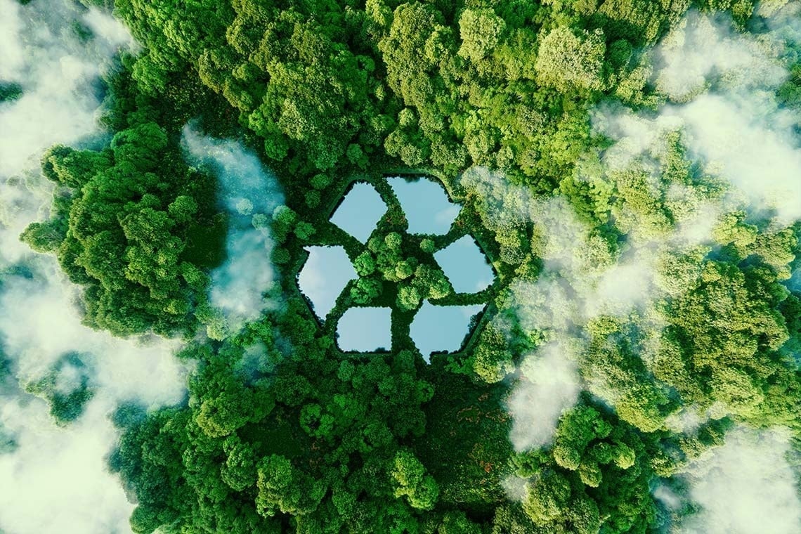 an aerial view of a forest with a recycling symbol in the middle