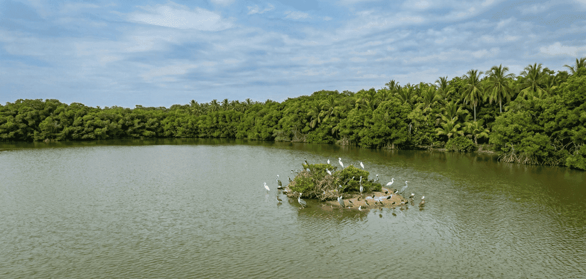 Laguna de Coyuca
