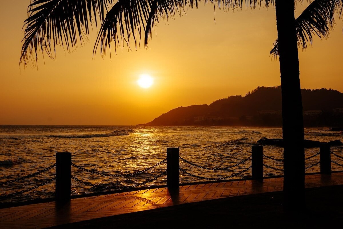 Atardecer en la playa junto a Atardecer en puerto vallarta: Dónde verlo y consejos útiles, palmera y olas doradas.