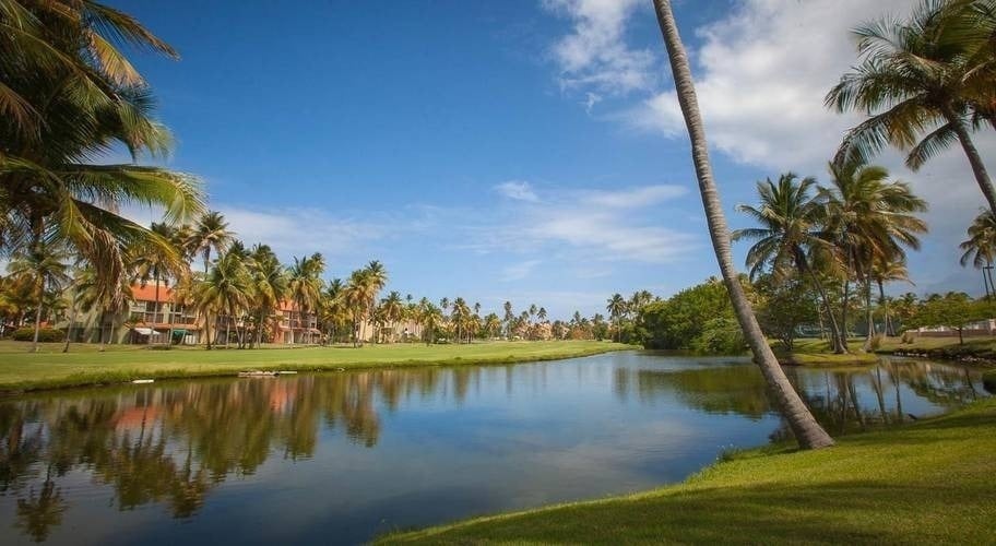 un río corre a través de un campo de golf rodeado de palmeras