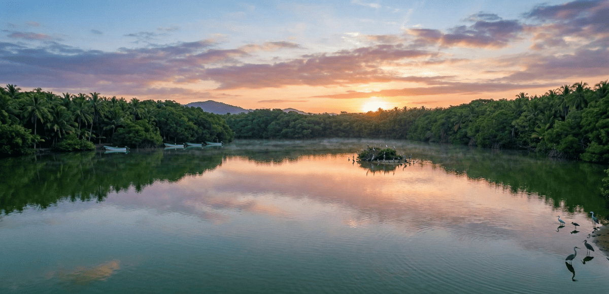 Lagoa Coyuca: o refúgio natural mais impressionante perto de Acapulco