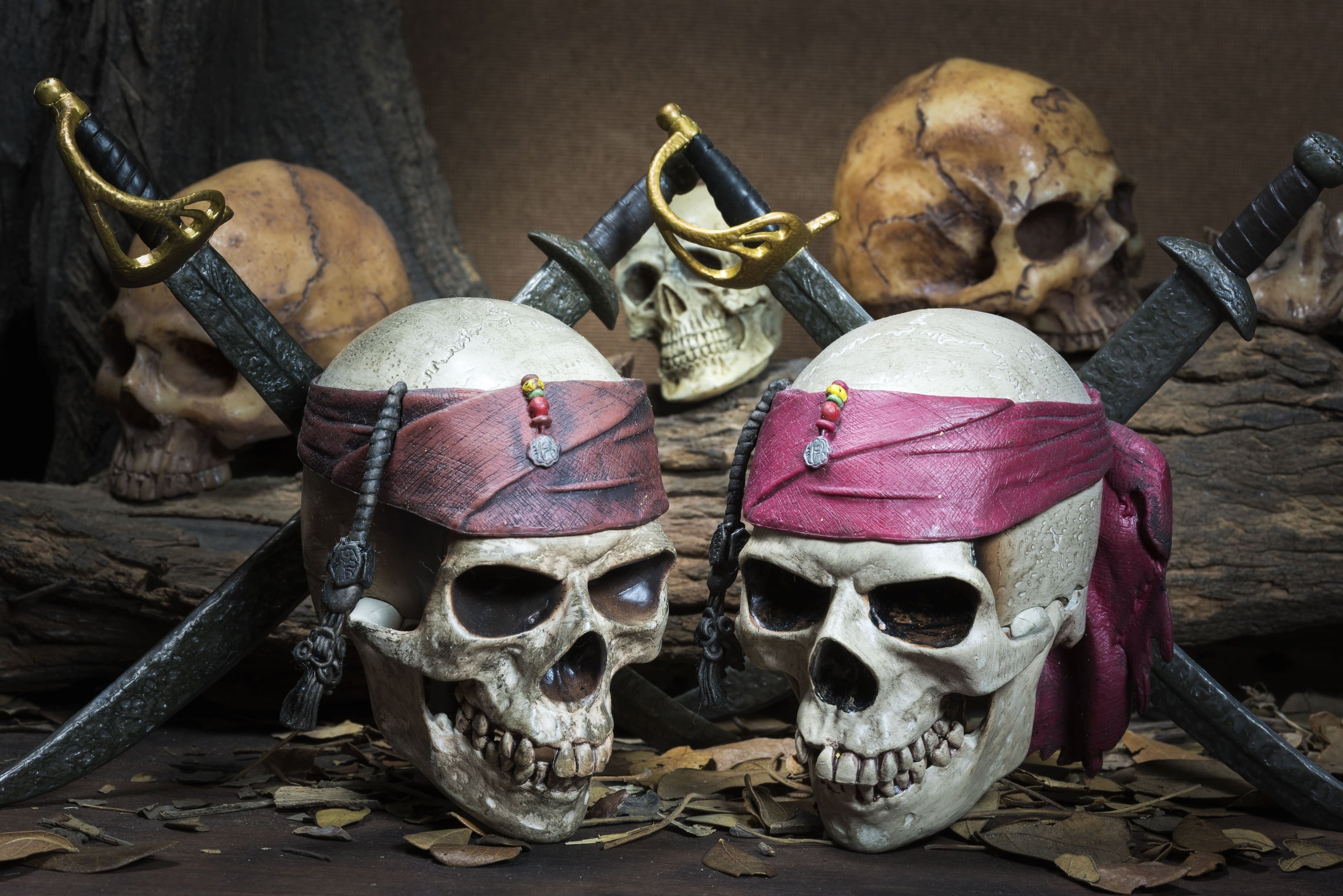 two skulls with pirate bandanas and swords on them