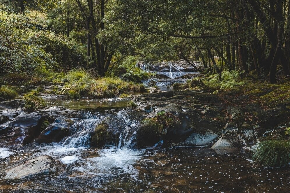 Visite as Cascatas Mágicas de Copalitilla: um refúgio natural para os amantes do ecoturismo.