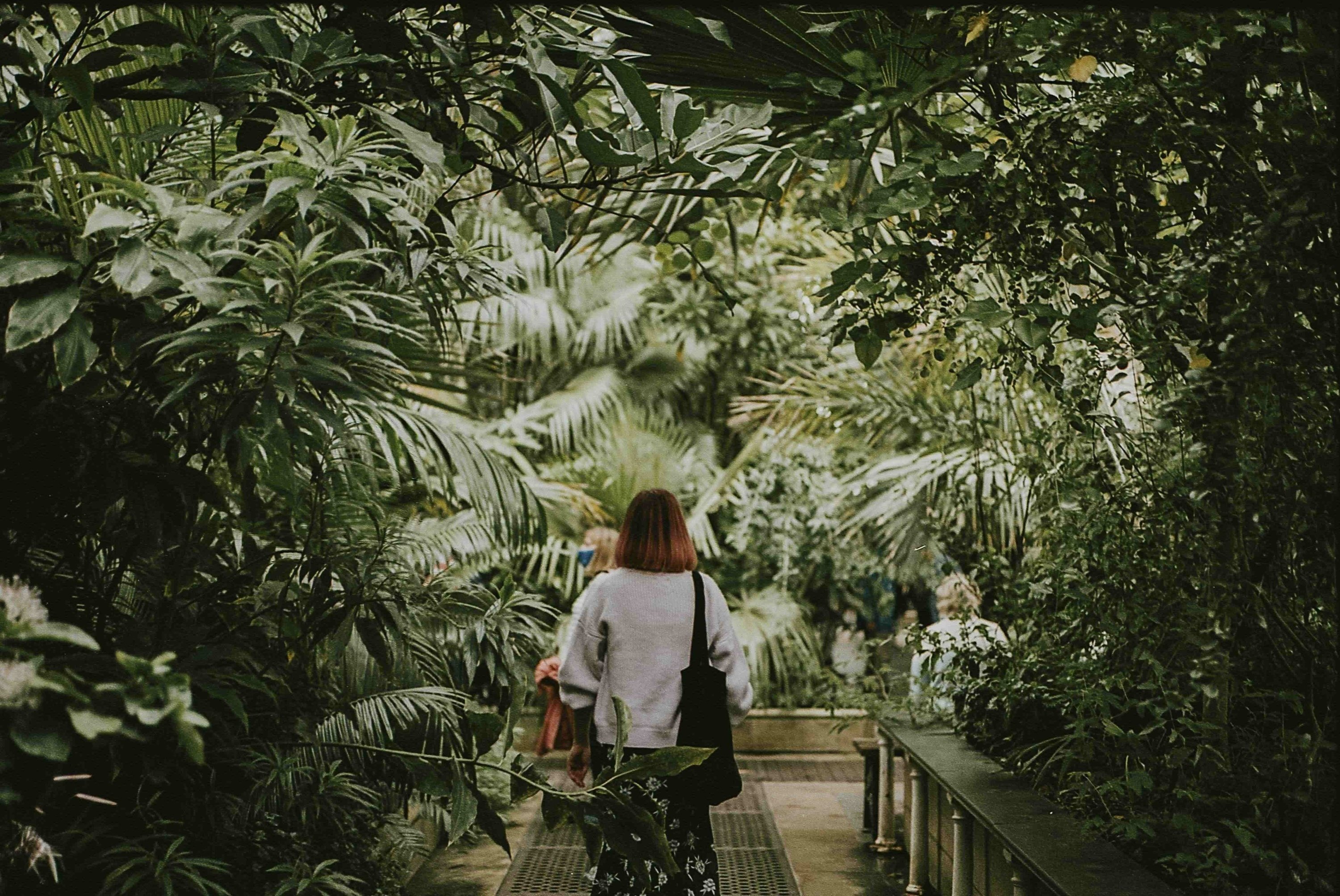 una mujer camina por un túnel lleno de plantas y árboles