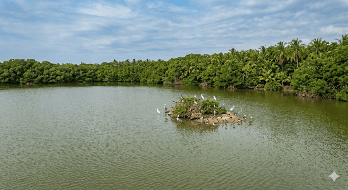 Laguna de Coyuca