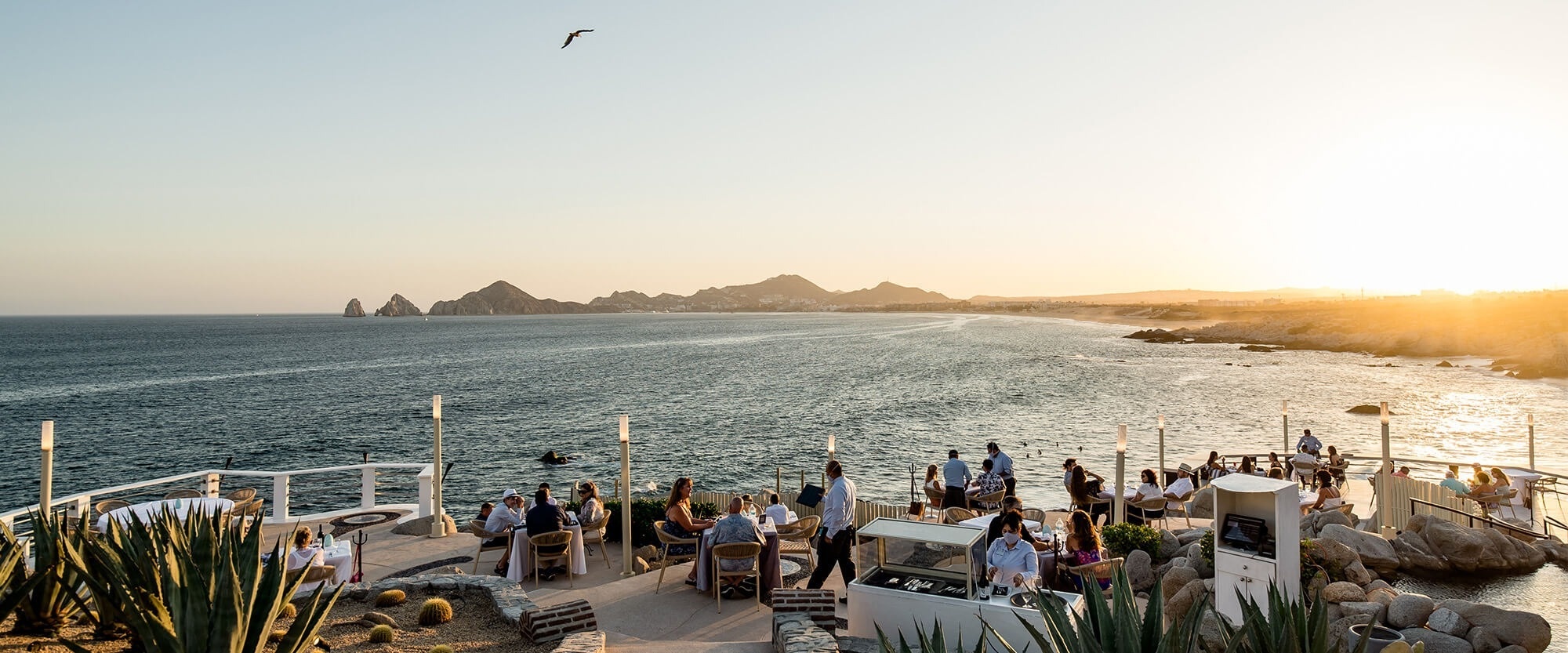 The most popular restaurants in Los Cabos