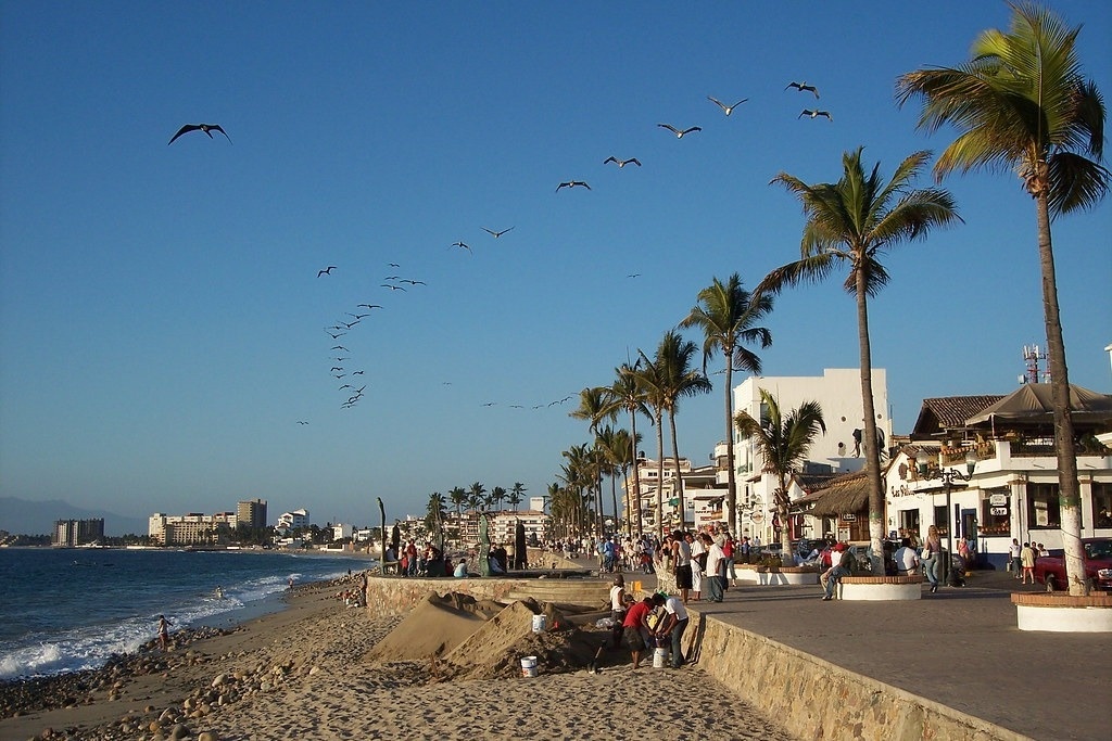 several birds are flying over a beach lined with palm trees