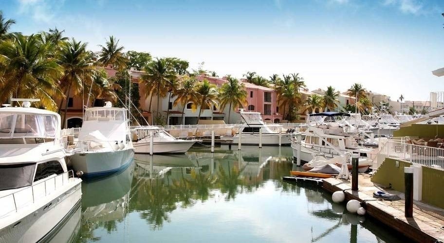 a row of boats are docked in a marina with palm trees in the background