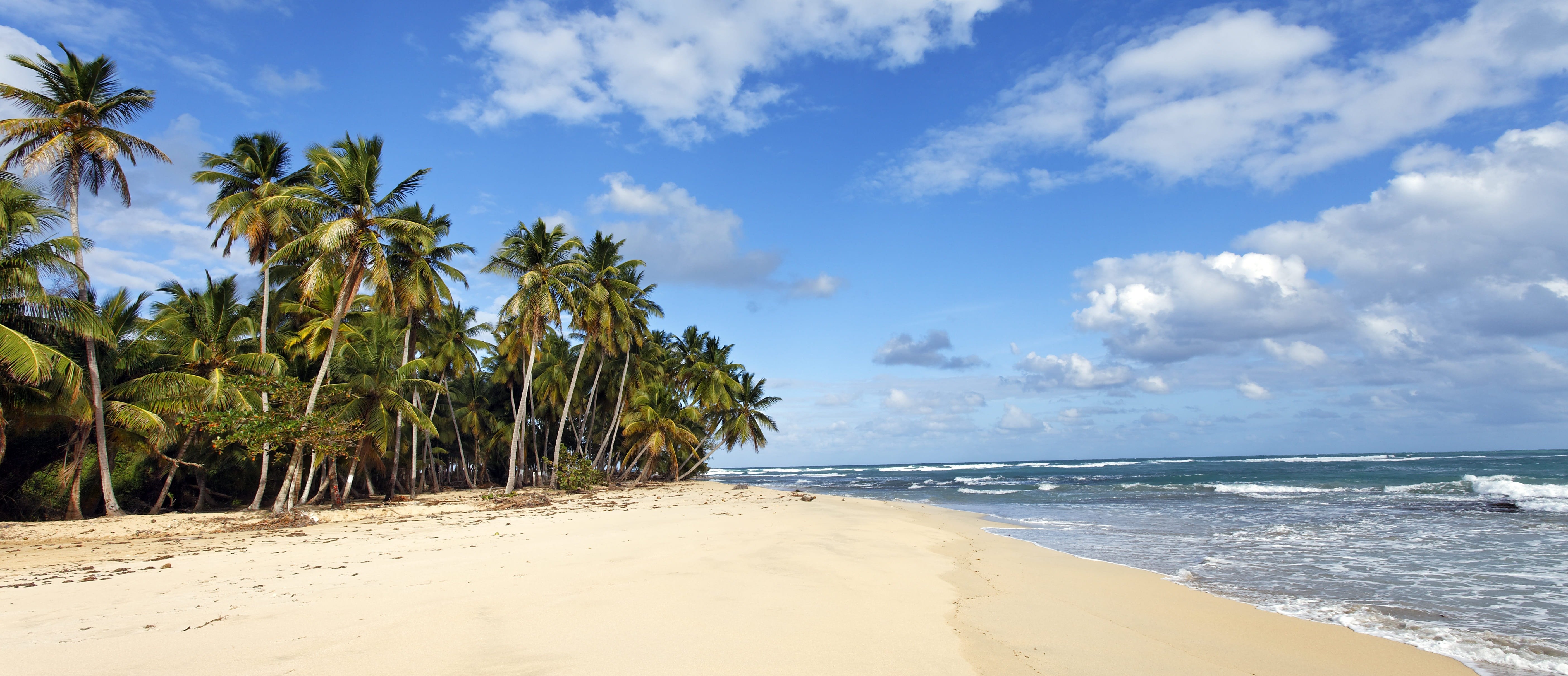 una playa con palmeras y olas en un día nublado