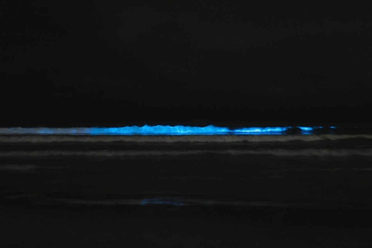 glowing blue waves on a beach at night