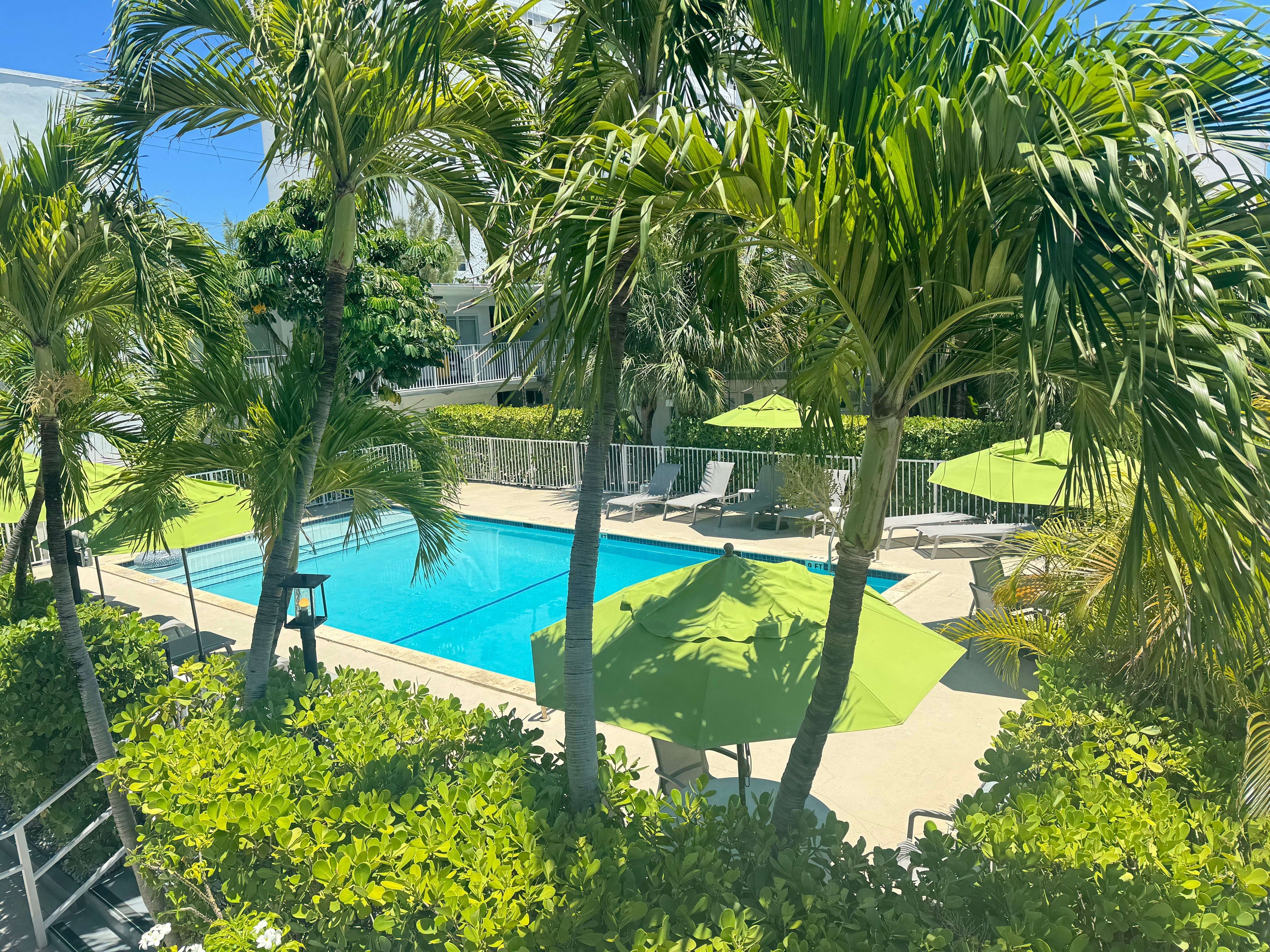 Terraza solarium rodeada con palmeras en Park Royal Miami Beach
