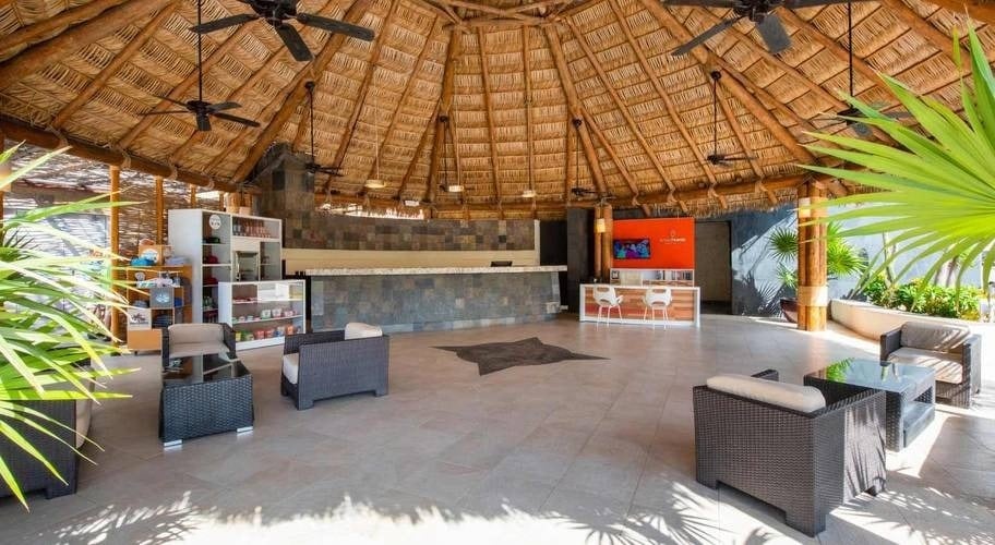 Palm-roofed bar at Homestay Los Cabos in Mexico