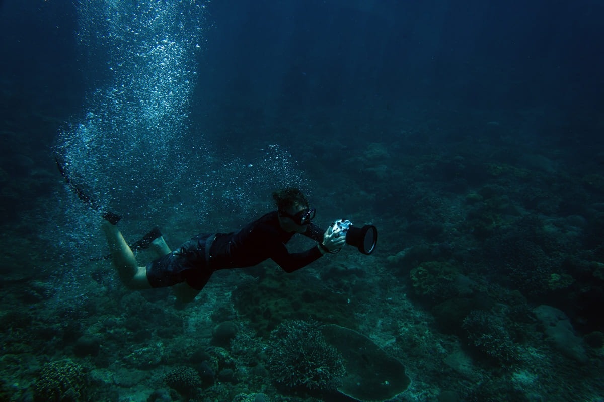 snorkel nocturno en cancún