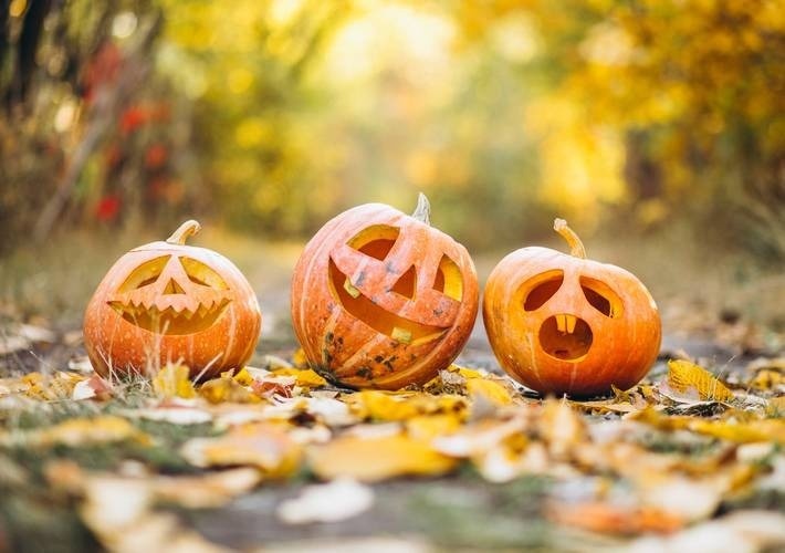 três abóboras de halloween com rostos esculpidos estão sentados em folhas de outono .