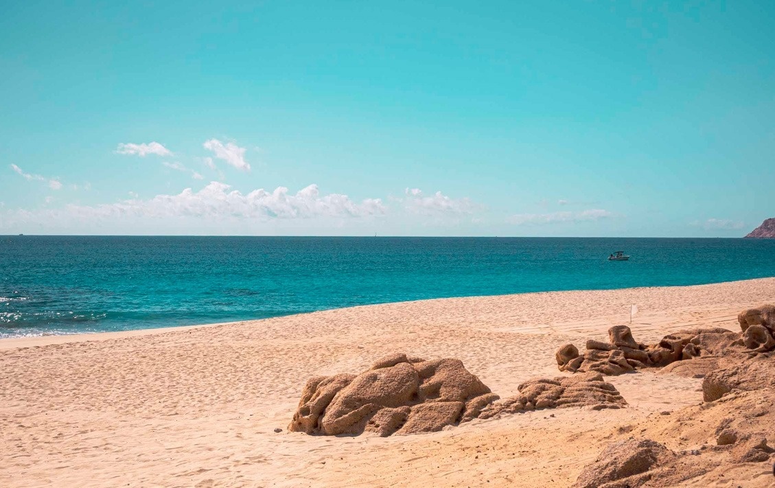 Playa dorada y mar turquesa en Park Royal: Club Regina Los Cabos, ideal para relajarse.