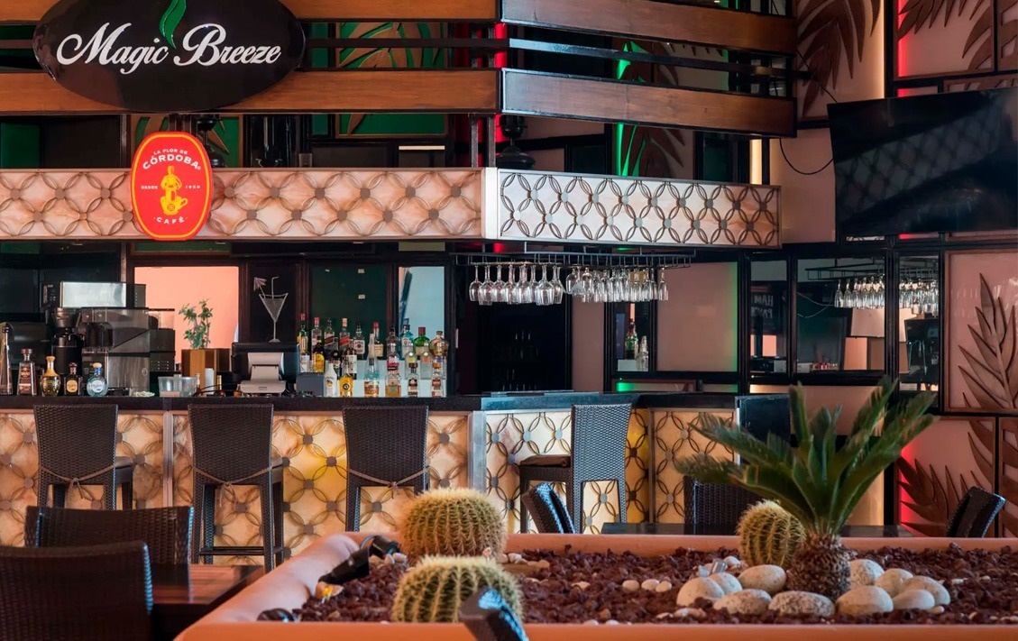Bar moderno en Park Royal: Club Regina Los Cabos con cactus y plantas