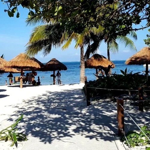 Sombrillas y palmeras en la playa de Park Royal: Club Regina Cancún, aguas azules y arena blanca.