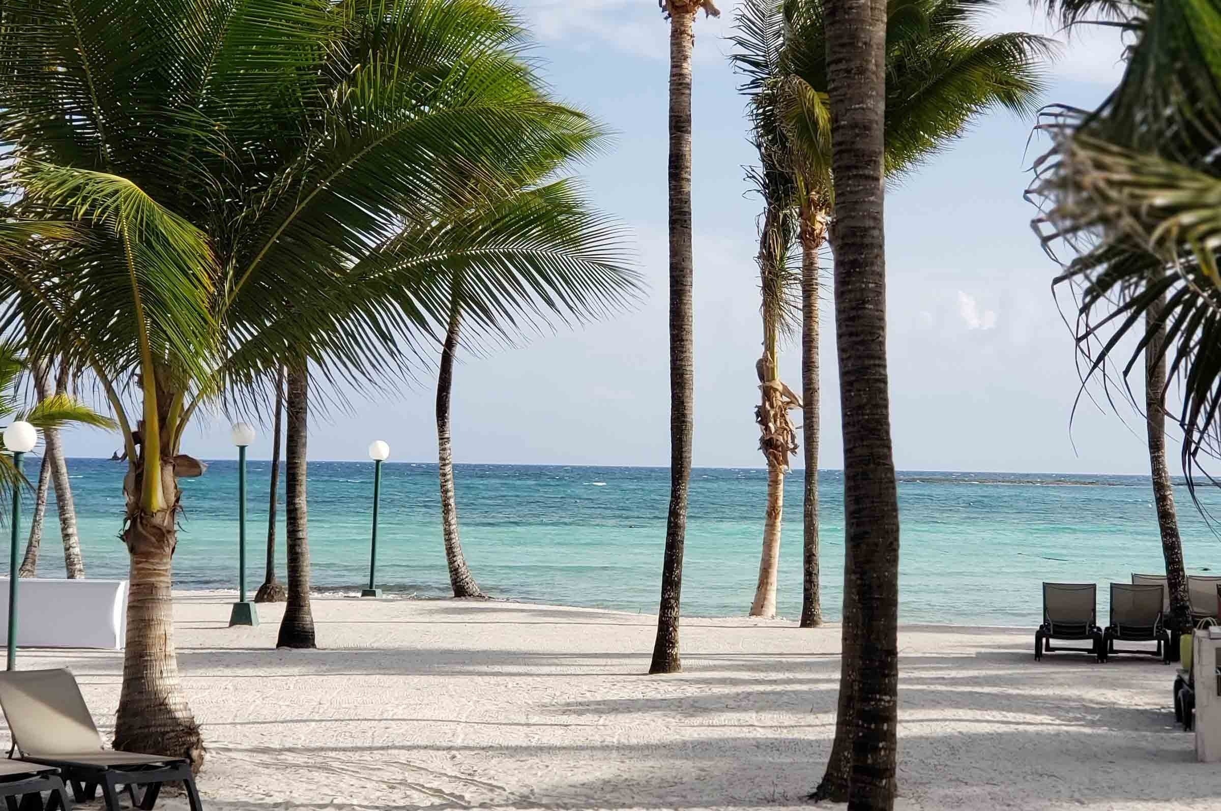 Playa idílica en Park Royal: Club Regina Cancún con palmeras y sillas de playa.