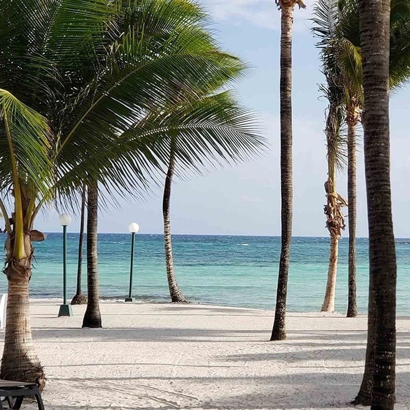 Palm trees and Caribbean beach at Park Royal: Club Regina Cancun.