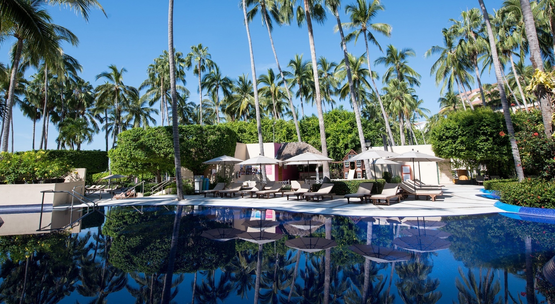 Disfrute la piscina y palmeras en Park Royal: Club Regina Puerto Vallarta.
