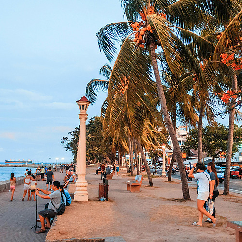 Paseo marítimo tropical con palmeras, ideal para tu estancia en Park Royal.