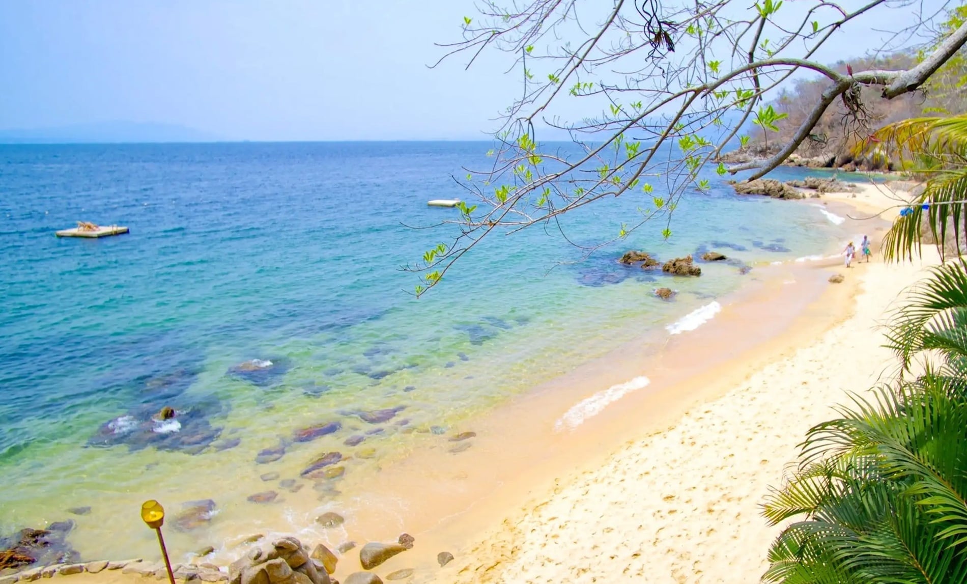 Playa idílica en Park Royal: Club Regina Puerto Vallarta, con aguas cristalinas y arena dorada.