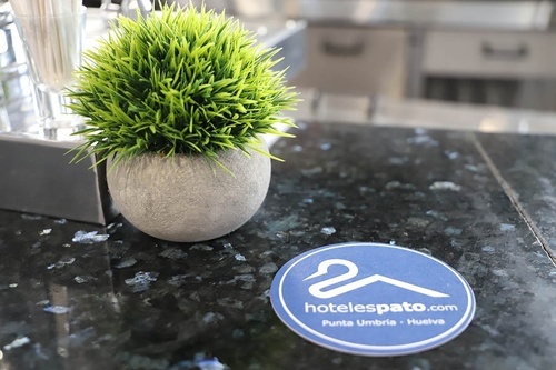 Potted plant and Hoteles Pato coaster at Hotel Pato Amarillo, a 4-star hotel in Punta Umbría, Huelva.
