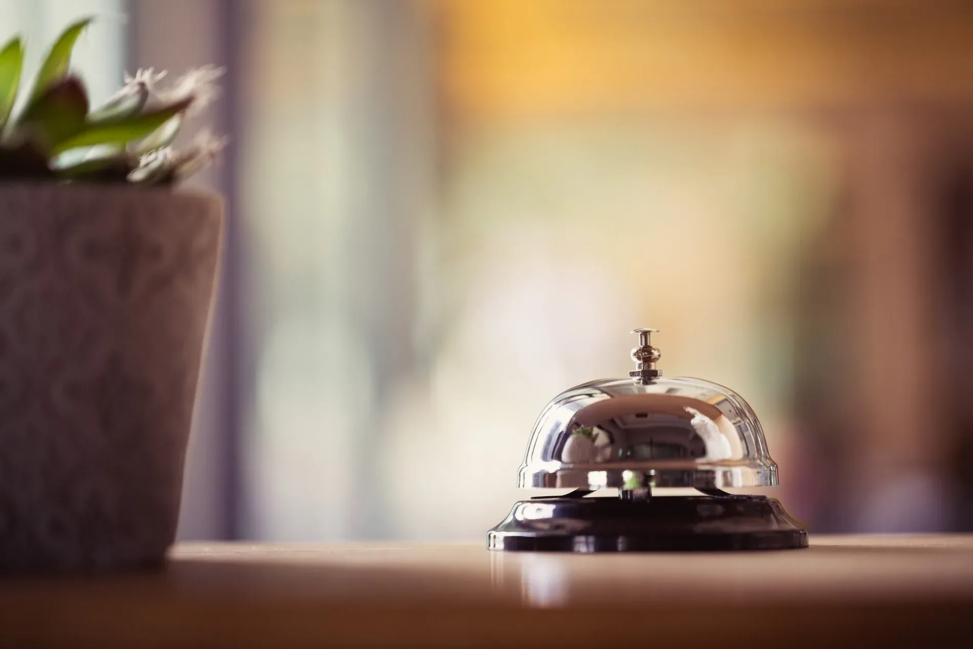 Llamada de atención en recepción | Mis reservas | Hotel Ángela | Fuengirola