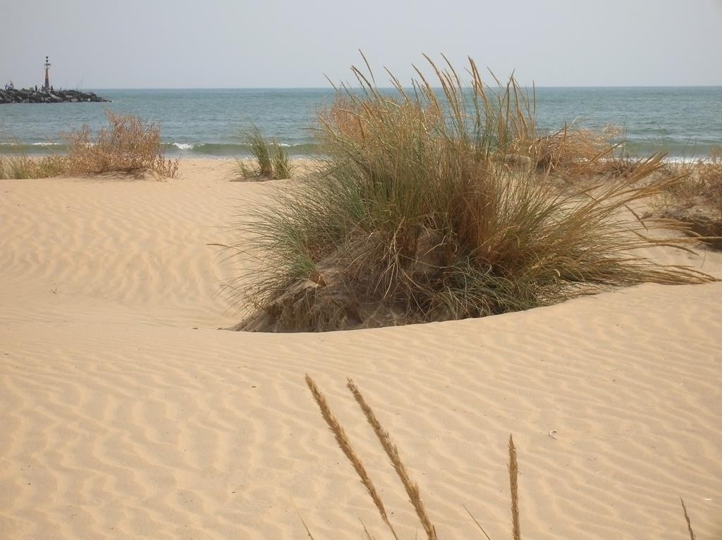 Praia serena com dunas, mar e farol. Ideal para eventos Pato Corporativa e lazer costeiro.