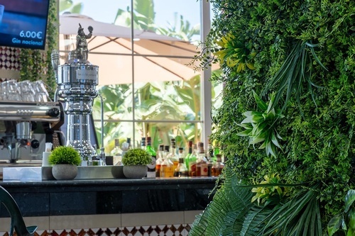 Modern bar at Hotel Pato Amarillo, a 4-star hotel in Punta Umbría, Huelva, with vibrant plant wall and refreshing drinks.