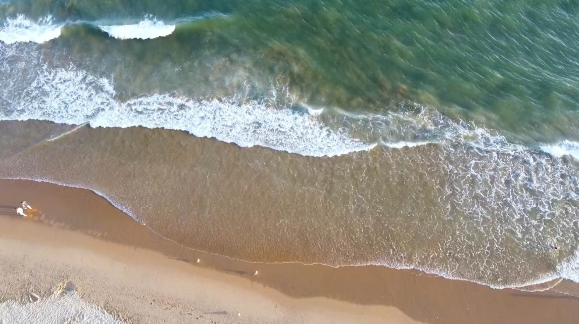 Pato: Corporativa. Vista aérea de playa con olas turquesas rompiendo en arena dorada.