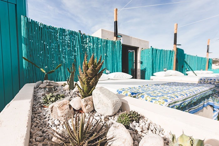 a planter with rocks and plants in front of a blue fence