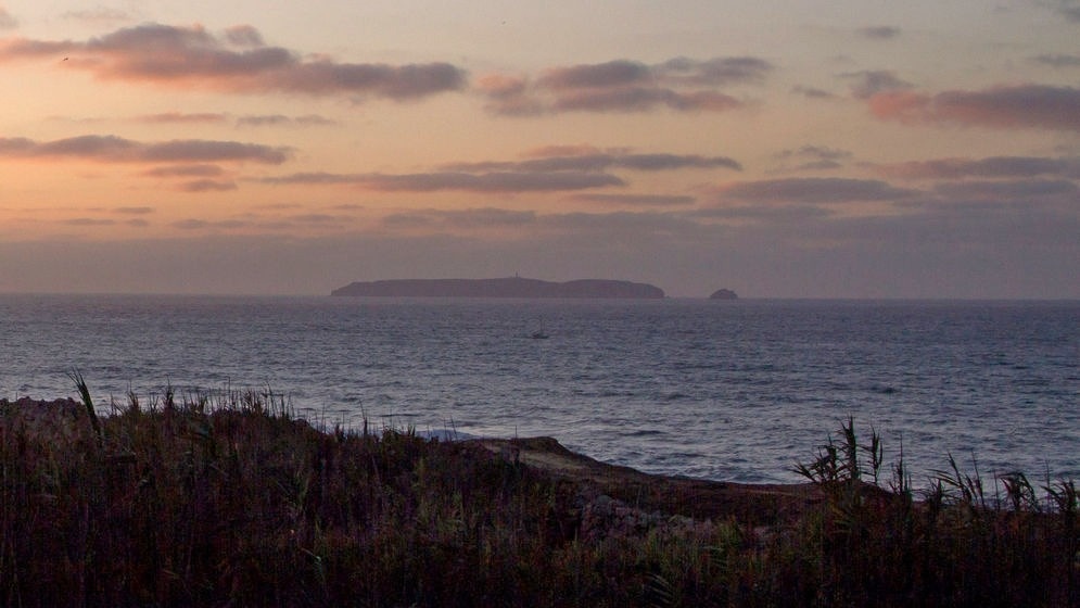 un lago rodeado de árboles y arbustos en un día soleado