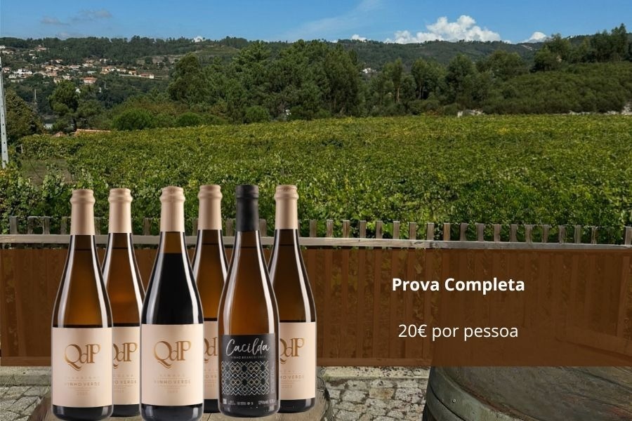 a bottle of prova completa wine sits in front of a vineyard