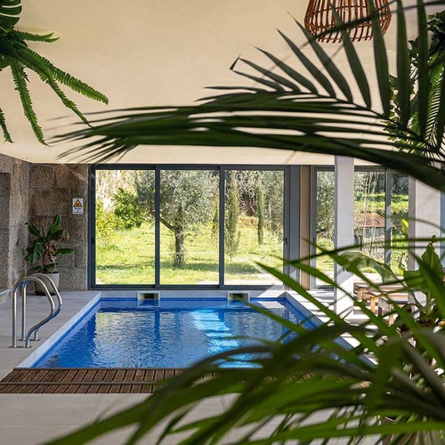 Piscina interior de hotel com janelas amplas, vistas verdes da natureza e plantas tropicais.