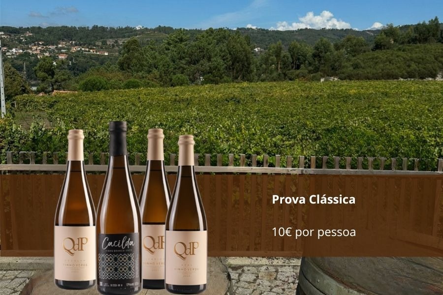 a bottle of prova classica sits on a table in front of a vineyard