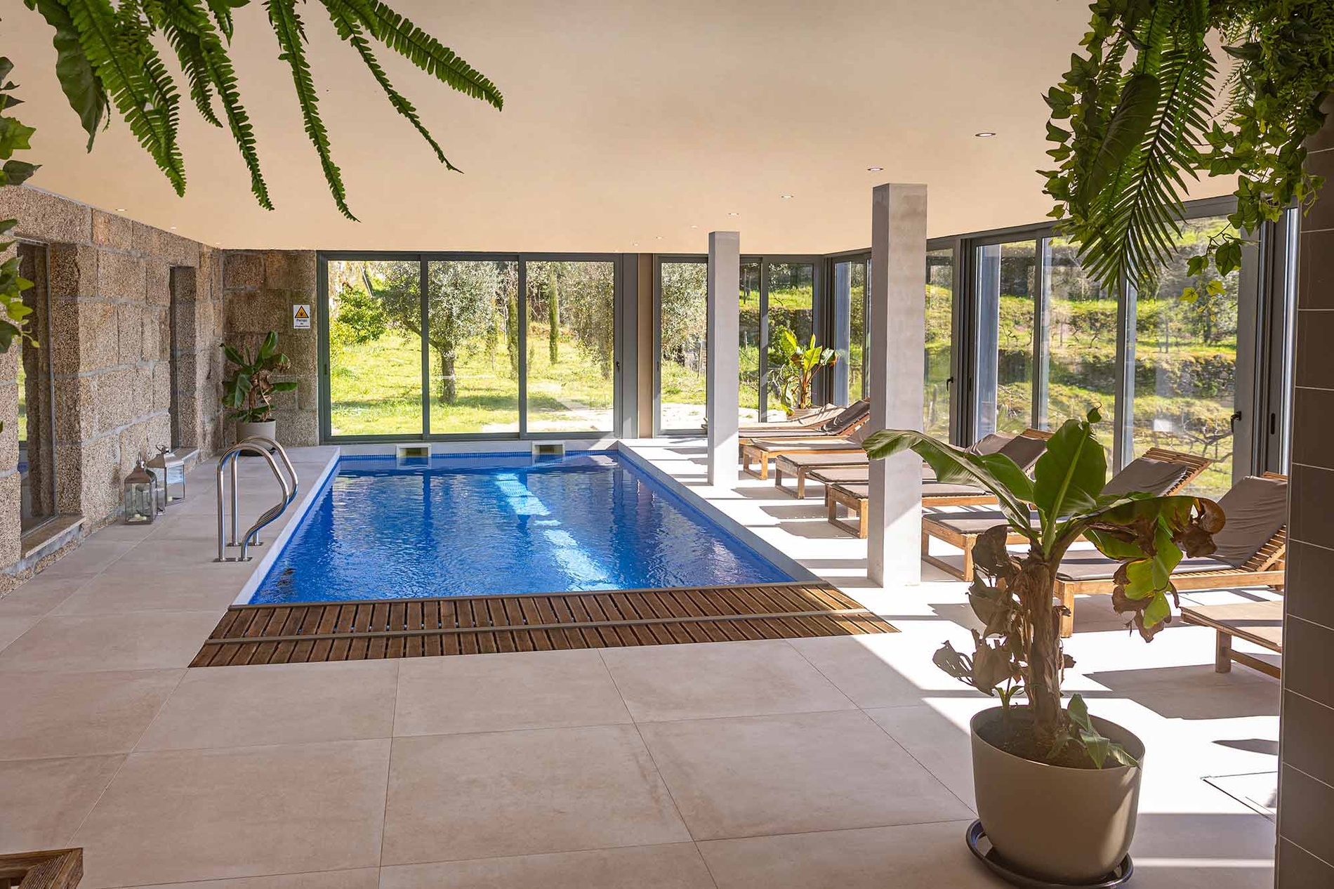 Piscina interior de hotel con ventanales, vistas a la naturaleza y área de relax.
