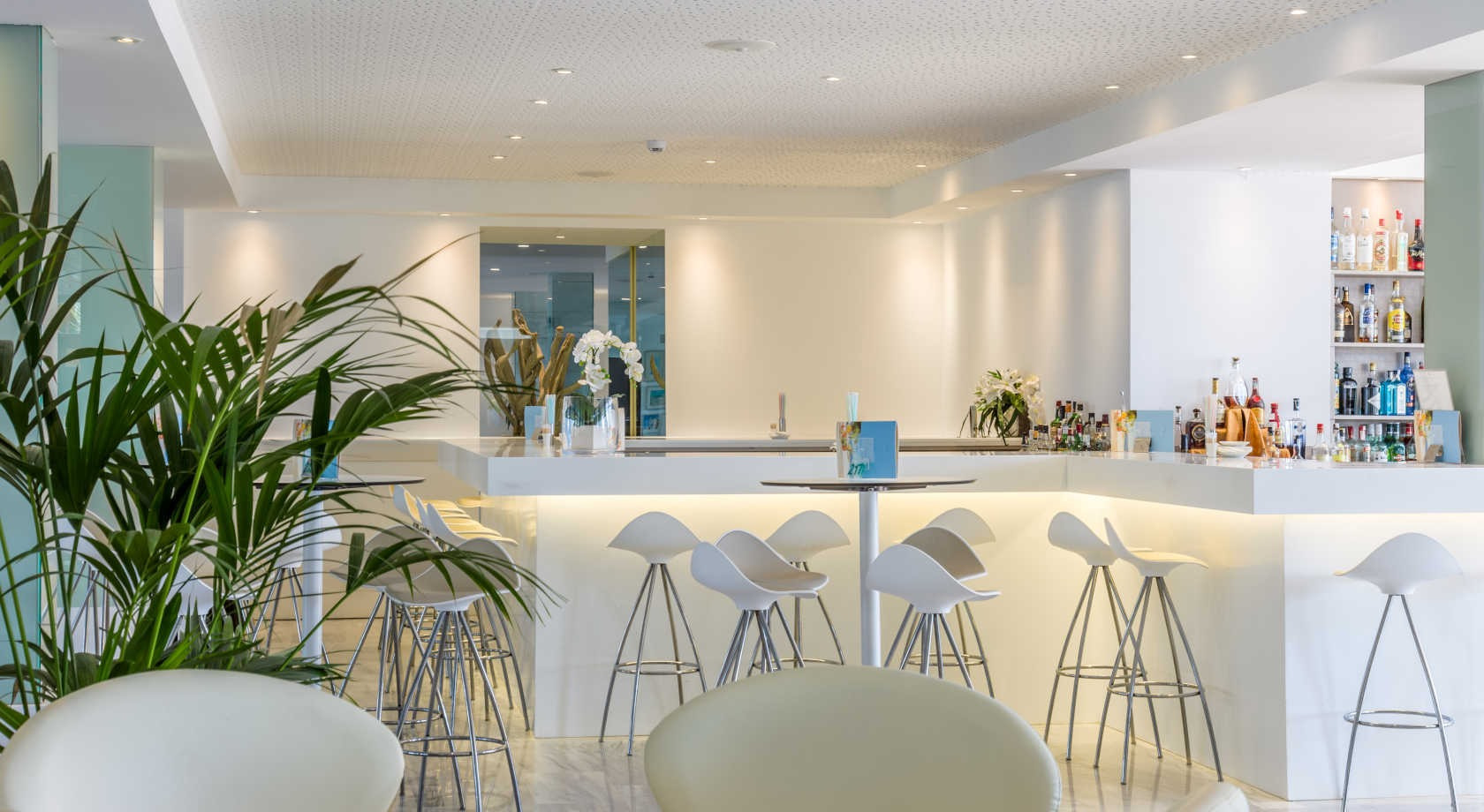 Bar moderno del hotel con asientos y plantas. Playa Esperanza Resort