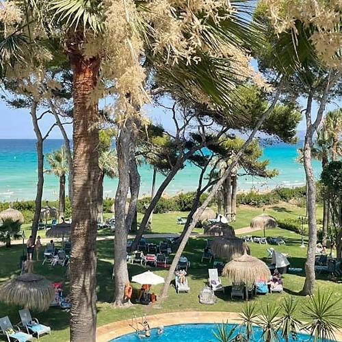 Terraza con vista al mar turquesa, tumbonas y palmeras en Playa Esperanza Resort.