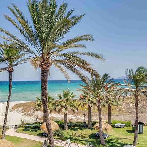Playa Esperanza Resort: Palmeras y playa paradisíaca con aguas turquesas.