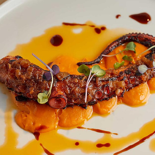 Pulpo a la parrilla con puré de calabaza y salsa de vino tinto, un Playa Esperanza Resort culinario.