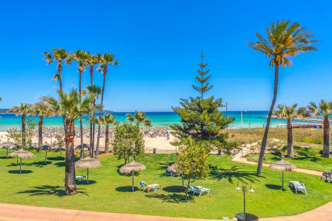 Vista de palmeras y playa enPlaya Esperanza Resort.